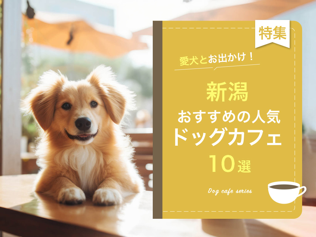 新潟のドッグカフェ特集！ペットOKのおすすめ施設10選【2023年】